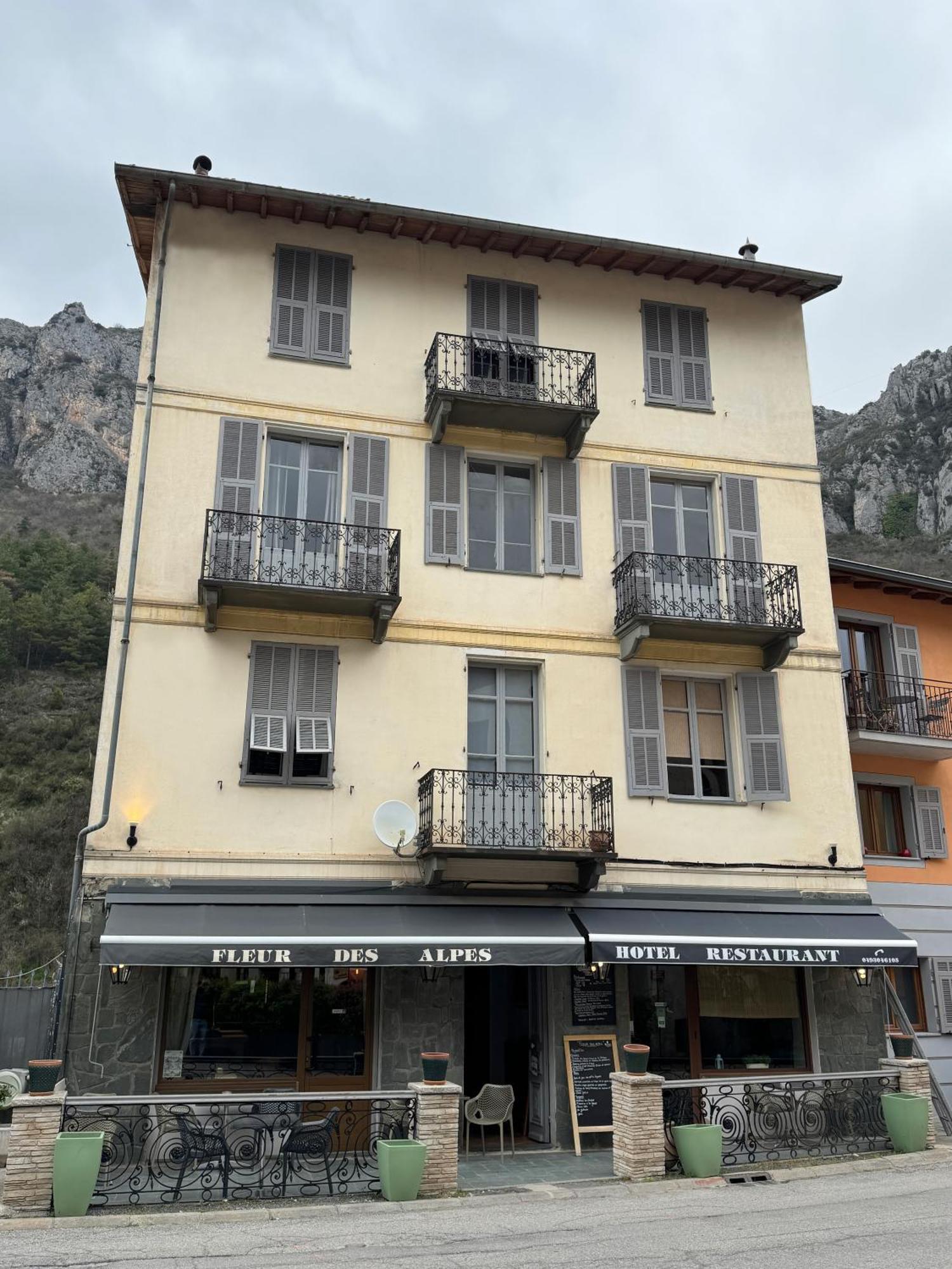 Hotel Fleur Des Alpes